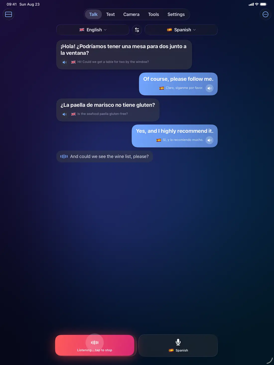 Fast Translate Now conversation view on iPad